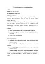 Prakses atskaite 'Aktīvā mācību un audzināšanas prakse sākumskolā', 10.