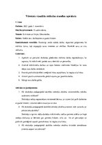 Prakses atskaite 'Aktīvā mācību un audzināšanas prakse sākumskolā', 12.