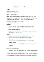 Prakses atskaite 'Aktīvā mācību un audzināšanas prakse sākumskolā', 22.