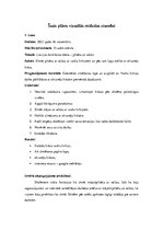 Prakses atskaite 'Aktīvā mācību un audzināšanas prakse sākumskolā', 25.