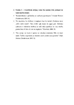 Prakses atskaite 'Aktīvā mācību un audzināšanas prakse sākumskolā', 43.