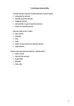 Referāts 'Atkritumi un to šķirošana', 8.