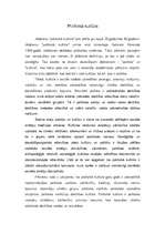 Konspekts 'Latvijas politiskās kultūras veidošanās un raksturojums', 2.