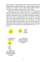 Referāts 'Vizuālo tēlu sistēmas sociālās reklāmas kampaņās', 4.