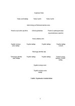 Prakses atskaite 'Mārketinga (tirgzinību) prakses atskaite I un II', 7.