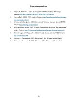 Prakses atskaite 'Mārketinga (tirgzinību) prakses atskaite I un II', 26.