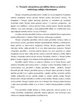 Prakses atskaite 'Mārketinga (tirgzinību) prakses atskaite I un II', 32.