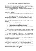 Prakses atskaite 'Mārketinga (tirgzinību) prakses atskaite I un II', 38.