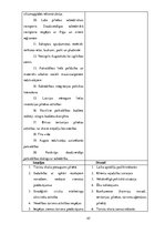 Prakses atskaite 'Mārketinga (tirgzinību) prakses atskaite I un II', 45.