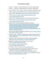 Prakses atskaite 'Mārketinga (tirgzinību) prakses atskaite I un II', 63.