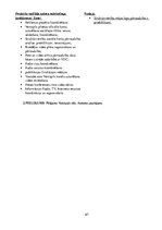 Prakses atskaite 'Mārketinga (tirgzinību) prakses atskaite I un II', 67.