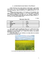 Referāts 'Sinepes, to audzēšanas tehnoloģija un izmantošana', 5.