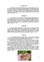 Referāts 'Sinepes, to audzēšanas tehnoloģija un izmantošana', 10.