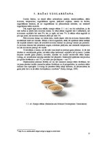 Referāts 'Sinepes, to audzēšanas tehnoloģija un izmantošana', 12.