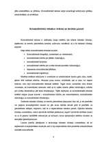 Referāts 'Kriminālistiskās tehnikas līdzekļu jēdziens un klasifikācija', 6.