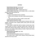 Referāts 'Fotomākslas attīstība Latvijā', 2.