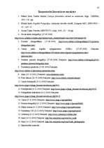 Referāts 'Fotomākslas attīstība Latvijā', 28.