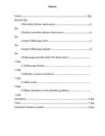 Referāts 'R.Blaumanis', 3.