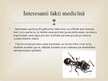 Prezentācija 'Interesanti fakti medicīnā. Kuriozi medicīnā', 12.