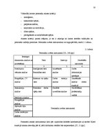 Diplomdarbs 'Personāla atlases dokumentēšanas pilnveide valsts pārvaldes iestādē', 20.