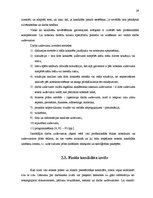 Diplomdarbs 'Personāla atlases dokumentēšanas pilnveide valsts pārvaldes iestādē', 29.