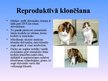 Prezentācija 'Klonētie dzīvnieki', 2.