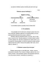 Referāts 'Ēdināšanas uzņēmējdarbības ilgtspējīgas attīstības kritēriji Latvijā', 7.