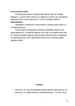 Referāts 'Ēdināšanas uzņēmējdarbības ilgtspējīgas attīstības kritēriji Latvijā', 28.