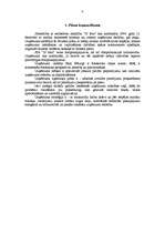 Biznesa plāns 'SIA "3J foto"', 4.