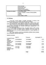 Biznesa plāns 'SIA "3J foto"', 12.