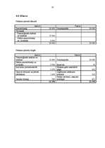 Biznesa plāns 'SIA "3J foto"', 20.