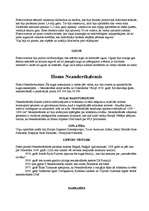 Konspekts 'Homo erectus. Homo neanderthalensis', 2.