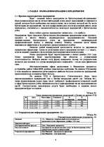 Biznesa plāns 'Бизнес план предприятия "X" на 2009 год', 6.