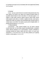 Referāts 'Enerģijas dzērienu galvenās sastāvdaļas. To ietekme uz veselību', 8.