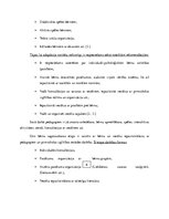 Referāts 'Adaptācija pirmsskolā', 9.