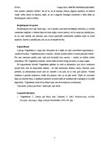 Referāts 'Vitgenšteina valodu spēles', 3.