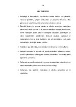 Referāts 'Vadītāja personības loma', 20.