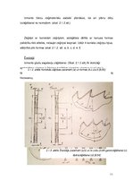 Konspekts 'Kokmateriālu piegriešana', 11.