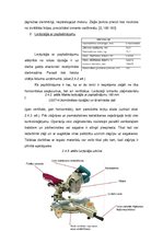 Konspekts 'Kokmateriālu piegriešana', 17.