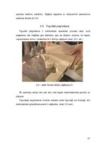 Konspekts 'Kokmateriālu piegriešana', 27.