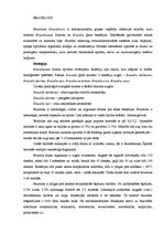 Konspekts 'Bruceloze', 2.