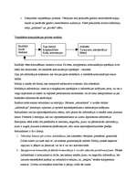 Referāts 'Komunikācija. Masu komunikācija ', 2.