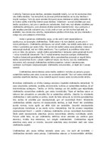 Eseja 'Cilvēktiesību nozīme konstitucionālajās tiesībās', 2.