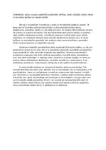 Eseja 'Cilvēktiesību nozīme konstitucionālajās tiesībās', 3.