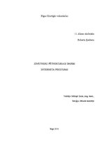 Referāts 'Interneta pirātisms', 1.