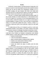 Referāts 'Interneta pirātisms', 3.