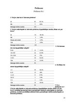 Referāts 'Interneta pirātisms', 23.