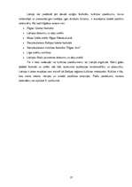 Diplomdarbs 'Tūrisma loma Latvijas tēla veidošanā', 37.