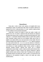 Biznesa plāns 'Preču piegāde', 2.