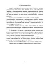 Biznesa plāns 'Preču piegāde', 4.